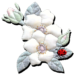 Ladybird and Roses